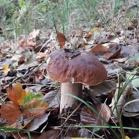 Abendsonne Apartamento