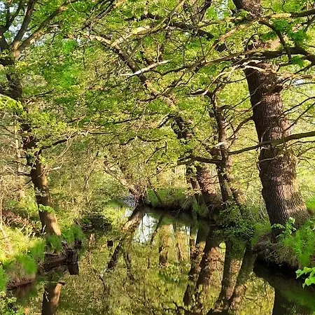 Apartamento Abendsonne Hermsdorf (Brandenburg)