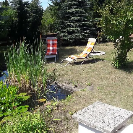 Abendsonne * Hermsdorf (Brandenburg)