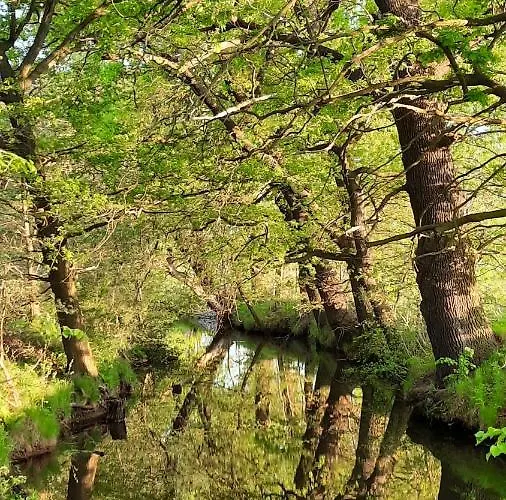 Apartment Abendsonne Hermsdorf (Brandenburg)