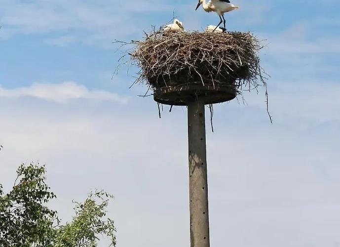 Abendsonne Apartment *