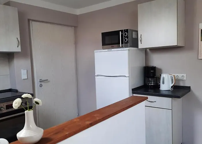 Abendsonne * Hermsdorf (Brandenburg)