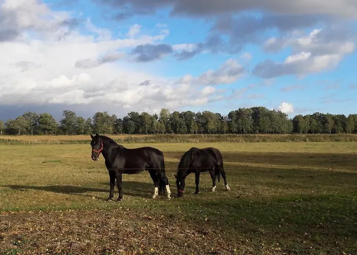 Apartment Abendsonne