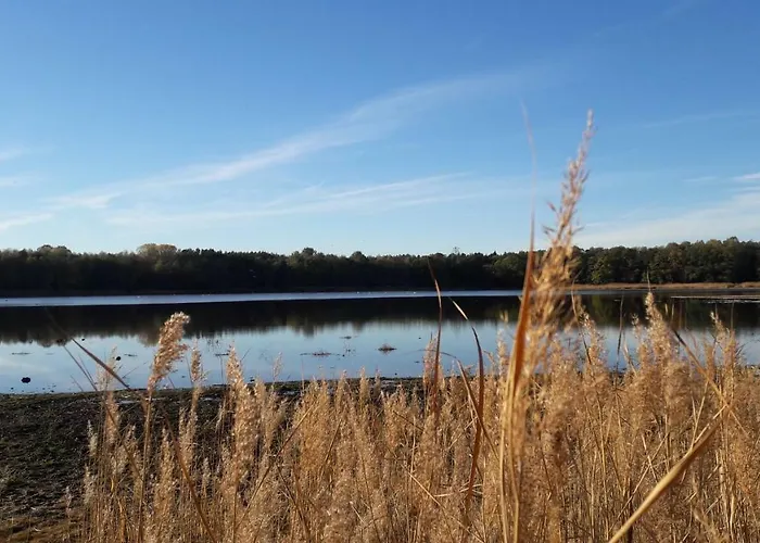 Abendsonne Apartment *