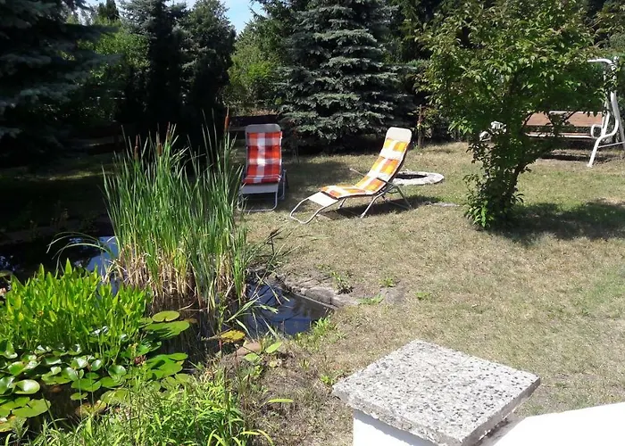 Abendsonne * Hermsdorf (Brandenburg)